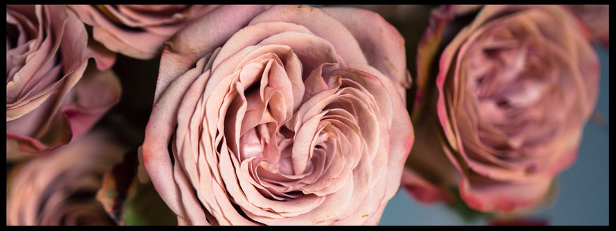 send flowers to kabul, afghanistan