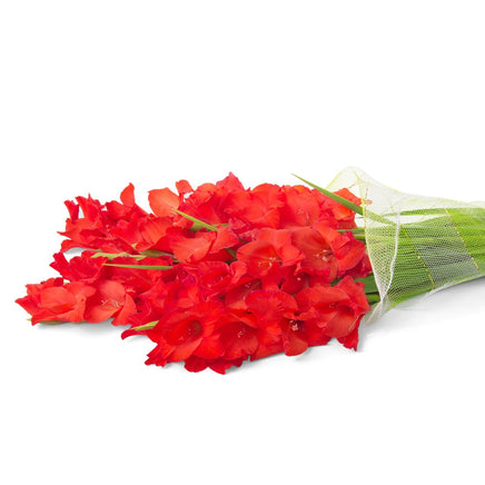 red gladiolus bouquet